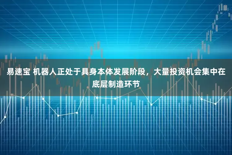 易速宝 机器人正处于具身本体发展阶段，大量投资机会集中在底层制造环节